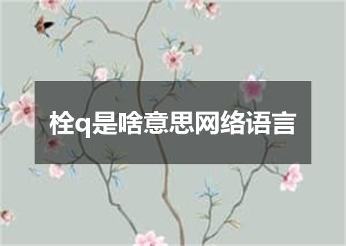 栓q是啥意思网络语言