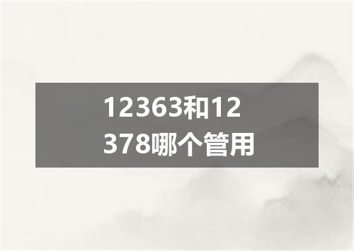 12363和12378哪个管用