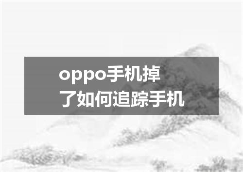oppo手机掉了如何追踪手机