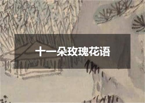 十一朵玫瑰花语