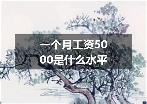 一个月工资5000是什么水平