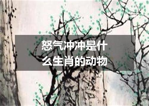 怒气冲冲是什么生肖的动物