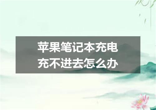 苹果笔记本充电充不进去怎么办