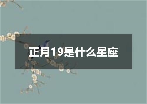 正月19是什么星座