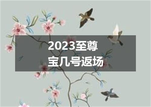 2023至尊宝几号返场