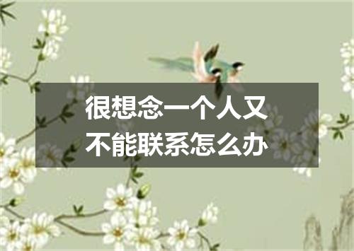 很想念一个人又不能联系怎么办