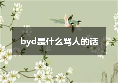 byd是什么骂人的话