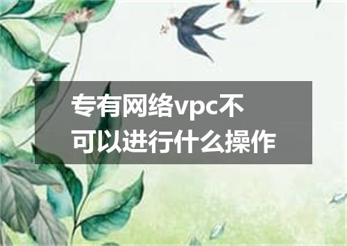 专有网络vpc不可以进行什么操作
