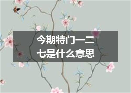 今期特门一二七是什么意思