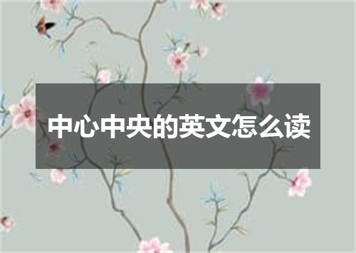 中心中央的英文怎么读