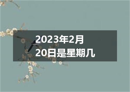 2023年2月20日是星期几