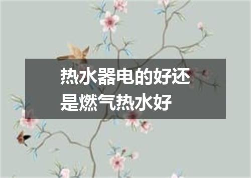 热水器电的好还是燃气热水好