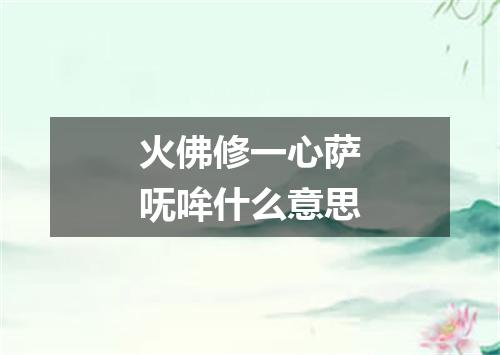 火佛修一心萨呒哞什么意思