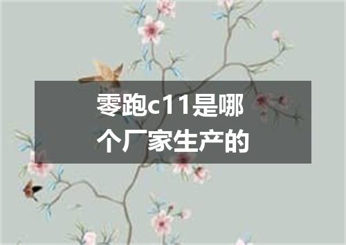 零跑c11是哪个厂家生产的