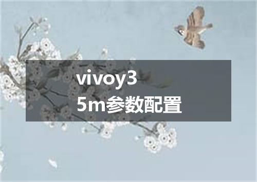 vivoy35m参数配置