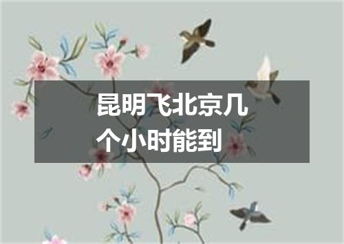 昆明飞北京几个小时能到