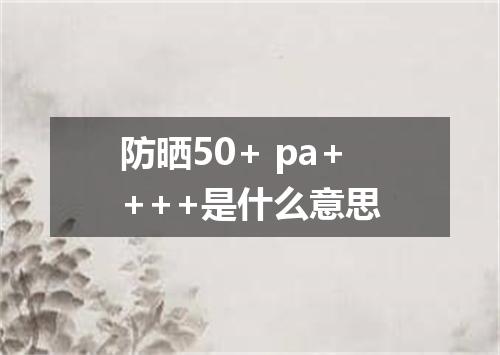 防晒50+ pa++++是什么意思