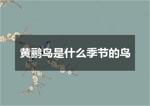 黄鹂鸟是什么季节的鸟