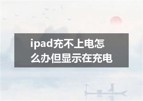 ipad充不上电怎么办但显示在充电