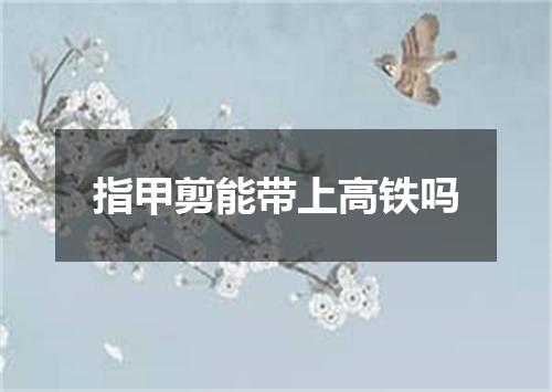 指甲剪能带上高铁吗