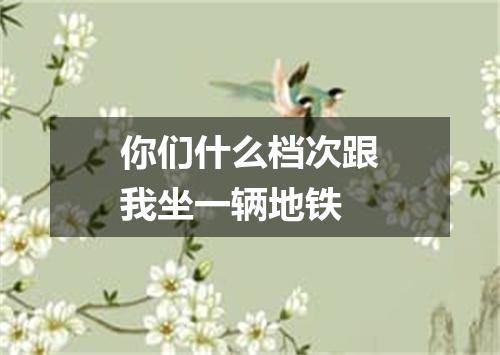 你们什么档次跟我坐一辆地铁