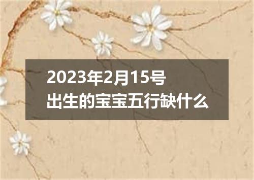 2023年2月15号出生的宝宝五行缺什么
