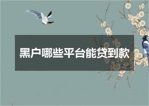 黑户哪些平台能贷到款