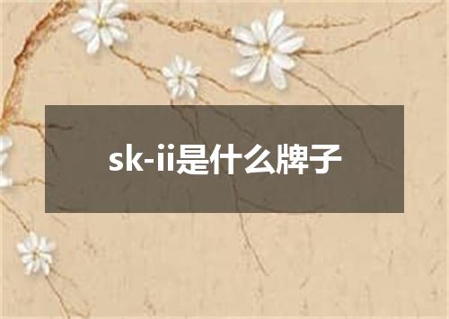 sk-ii是什么牌子