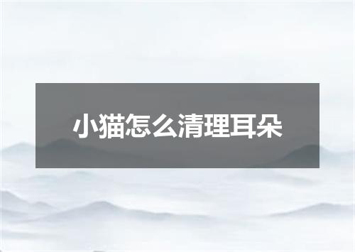 小猫怎么清理耳朵