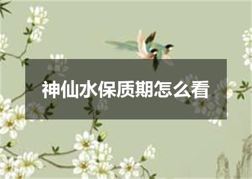 神仙水保质期怎么看