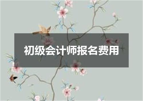 初级会计师报名费用