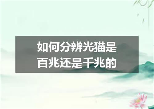 如何分辨光猫是百兆还是千兆的