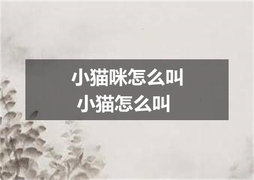 小猫咪怎么叫 小猫怎么叫