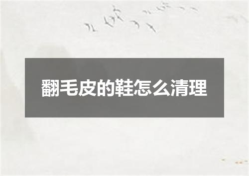 翻毛皮的鞋怎么清理