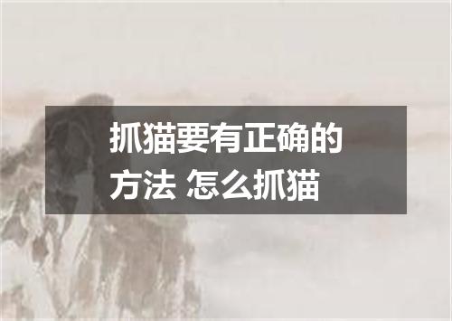 抓猫要有正确的方法 怎么抓猫