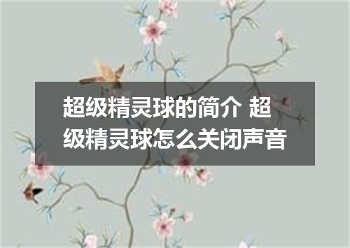 超级精灵球的简介 超级精灵球怎么关闭声音