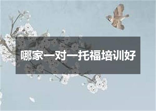 哪家一对一托福培训好