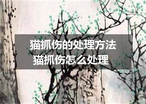 猫抓伤的处理方法 猫抓伤怎么处理