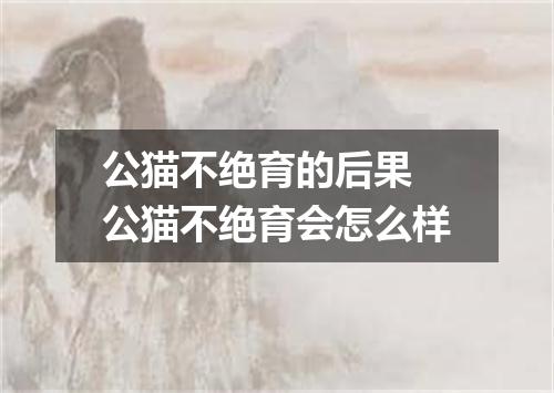 公猫不绝育的后果 公猫不绝育会怎么样