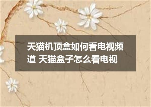 天猫机顶盒如何看电视频道 天猫盒子怎么看电视