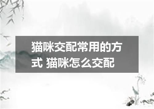 猫咪交配常用的方式 猫咪怎么交配