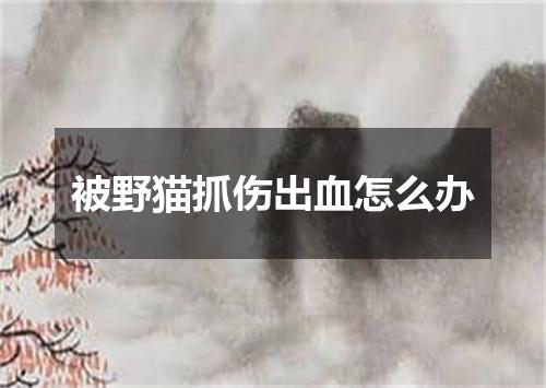 被野猫抓伤出血怎么办