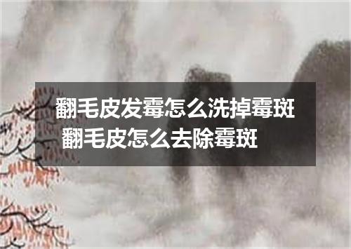 翻毛皮发霉怎么洗掉霉斑 翻毛皮怎么去除霉斑