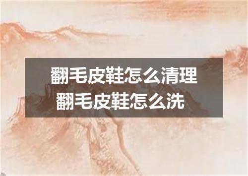 翻毛皮鞋怎么清理 翻毛皮鞋怎么洗