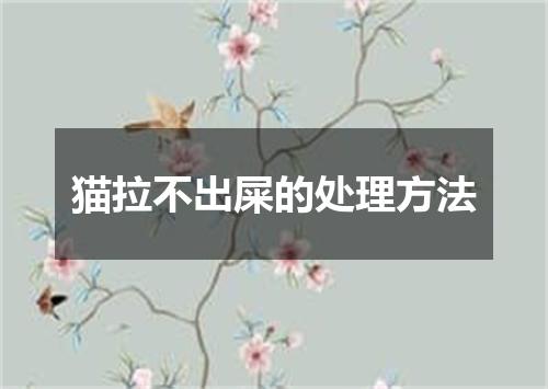 猫拉不出屎的处理方法