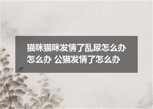 猫咪猫咪发情了乱尿怎么办怎么办 公猫发情了怎么办