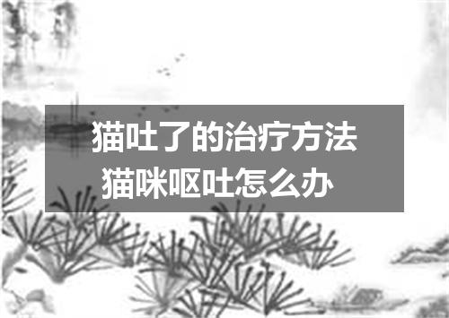 猫吐了的治疗方法 猫咪呕吐怎么办