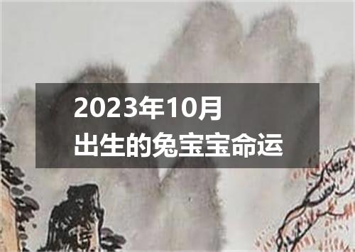 2023年10月出生的兔宝宝命运