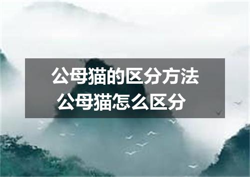公母猫的区分方法 公母猫怎么区分