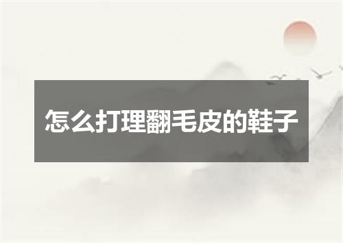 怎么打理翻毛皮的鞋子